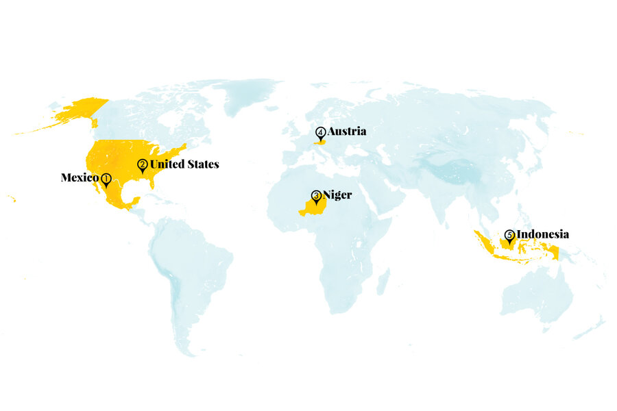 Tree stumps and old phones as solutions, not throwaways