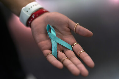 'An army of peacemakers': Southern Baptists grapple with sexual abuse - Vimarsana News