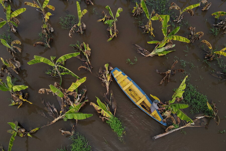 Latin American women are shortening the road from farm to table