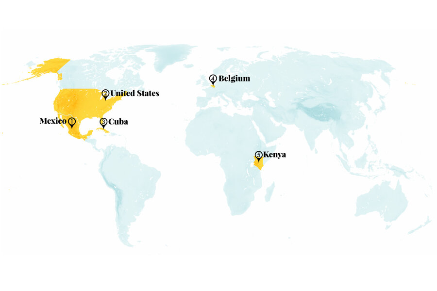 Nature takes over: Kenyan wastewater, US toxic dump turned wetland