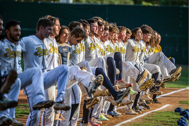 Bananas: A team with appeal – and more followers than the Yankees - Vimarsana News