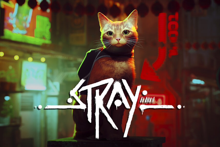 We played 'Stray,' everyone's favorite new cat-centric video game