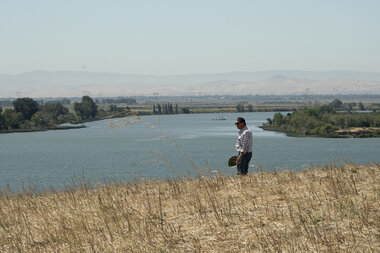 In California, freshwater fish and farmers feel the drought - Vimarsana News
