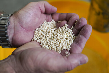 Bye-bye 'forever plastics': Biodegradable replacements on the way - Vimarsana News