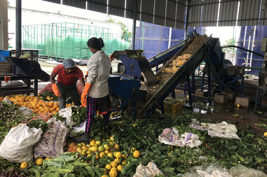 A street lit by rotten onions? An Indian market embraces biogas. - Vimarsana News