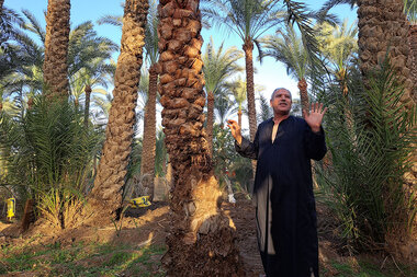 In Egypt and beyond, a climate crisis as close as one's water tap - Vimarsana News