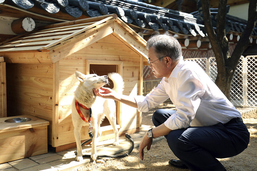 Dogs of peace or war? Political gifts get fuzzy in South Korea.