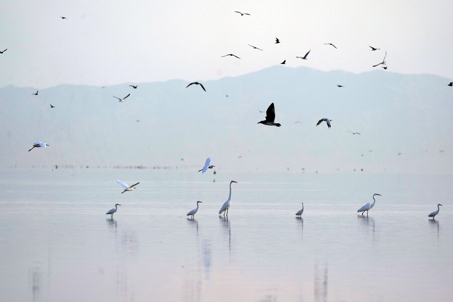 Documentary Points To What Could Happen If Salton Sea Isn't Restored