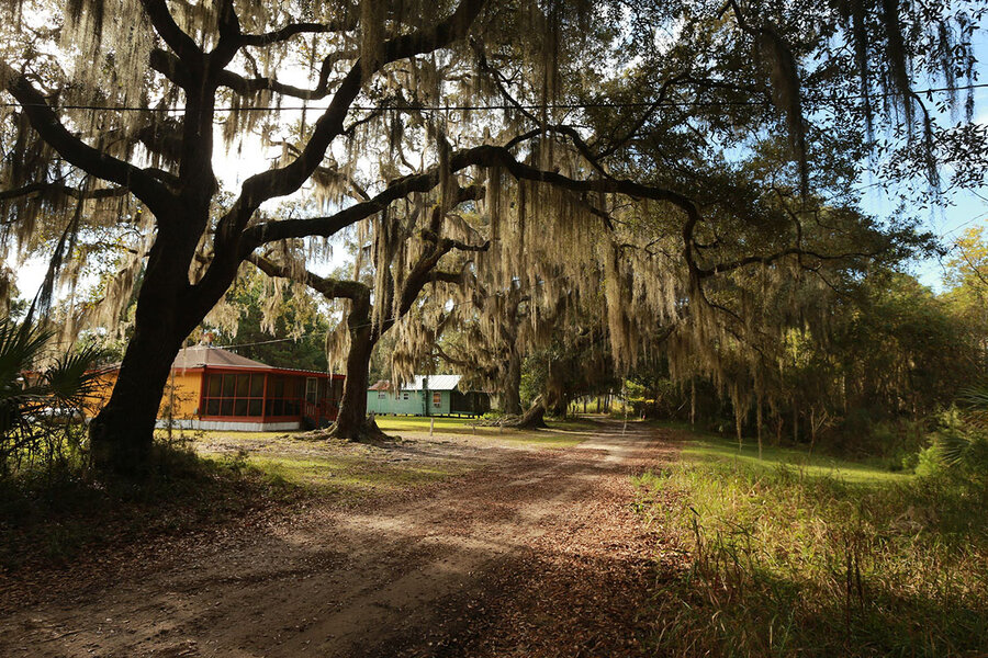 Island Conservation Returning Savana Island to a Safe Haven for