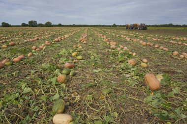Regenerative farms focus on soil health, chase carbon offset credits - Vimarsana News