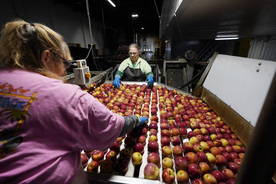 Avocados ripening also fast? Startups look for for food squander methods.