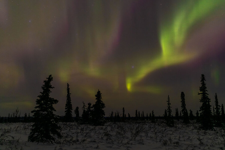 Northern lights: A cold, dark trip that leaves lasting joy 