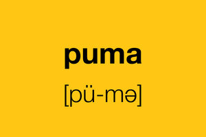 Puma pronunciation 2024