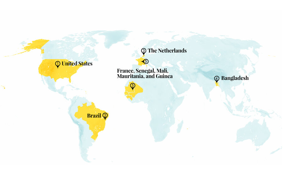 New harvests: Skinny trees in the Amazon, tomatoes instead of rice