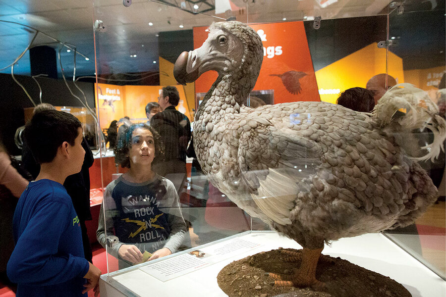 A 'de-extinction' company wants to bring back the dodo