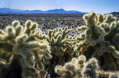 Biden designates new national monuments in Texas, Nevada, Hawaii - Vimarsana News