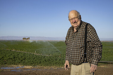 Colorado River water: Is fallowing farmland a fair way to conserve? - Vimarsana News