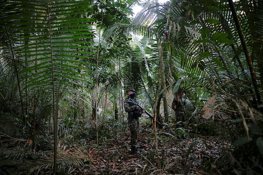 Project Rondônia: On the Ground in Brazil's  Rain Forest - Science  Talk Archive