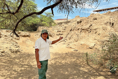 Restoring a sanctuary: Meet Peru's unsung hero of the Pómac Forest - Vimarsana News