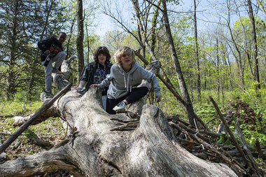 STEM with actual stems: Missouri pushes to get students outside - Vimarsana News