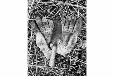 An inauspicious beginning, a bountiful end - Vimarsana News