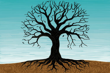 Untangling the roots of violence: What can we learn from the South? - Vimarsana News