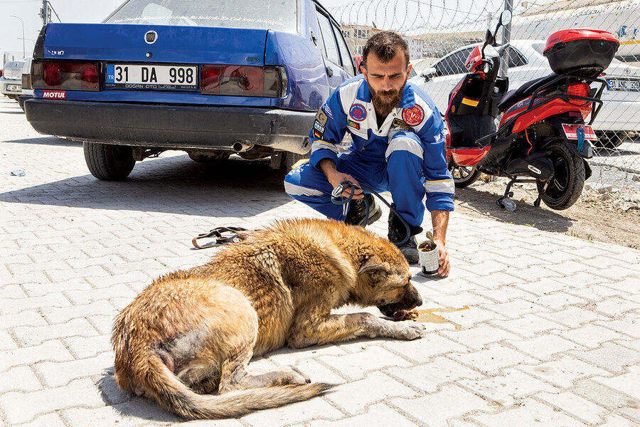 After a natural disaster, who cares for the animals? Meet Mehmet Tığoğlu.