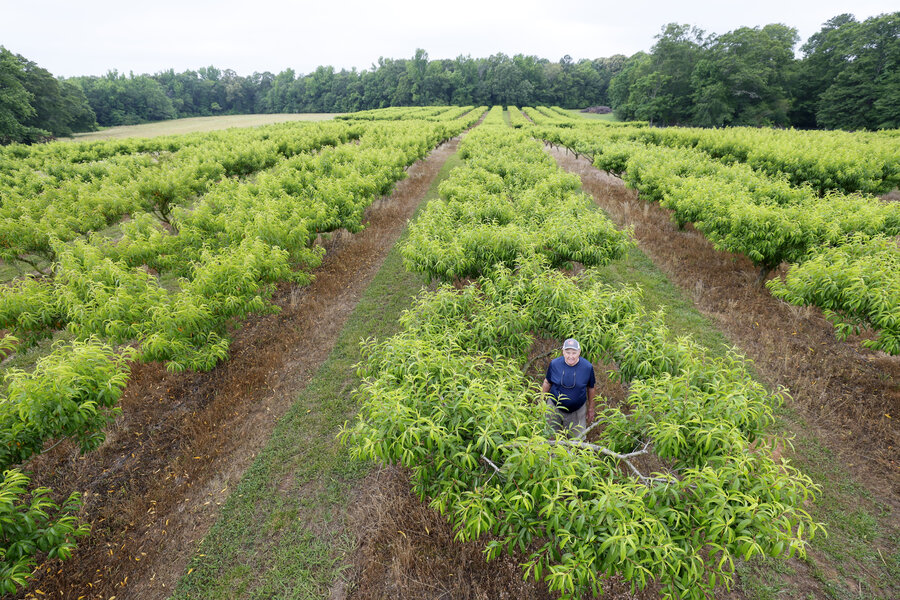 Farmers must adapt, facing climate change-driven warming - CSMonitor.com