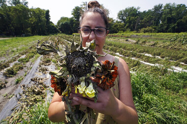 Northeast floods devastate farms. Crops are lost, no time to replant. - Vimarsana News