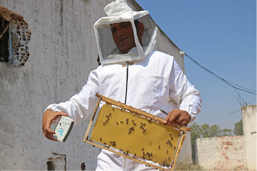 Tunisian beekeepers battle heat to keep 'precious insects' alive