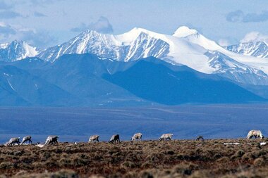 Biden cancels Alaska's remaining oil and gas leases - Vimarsana News