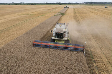 How world averted a grain shortage, despite Ukraine war - Vimarsana News
