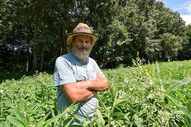 In Maryland, just two farmers grow rice. Here's why. - Vimarsana News