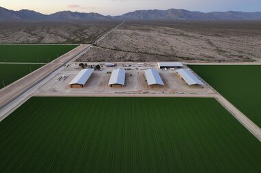 When Emirati alfalfa farms moved in, Arizona wells dried up. Why? - Vimarsana News