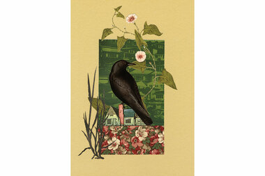 'The Comfort of Crows': An essayist revels in the joys of nature - Vimarsana News