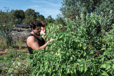 Regenerative farming: What climate change demands of us all - Vimarsana News