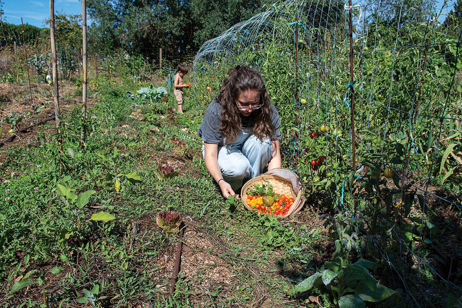 On Africa's farms, the forecast calls for adaptation and innovation