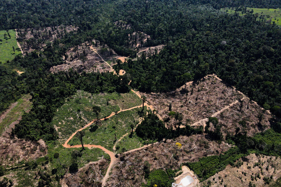Os agricultores estão destruindo a Amazônia.  O Brasil diz que eles são a solução.