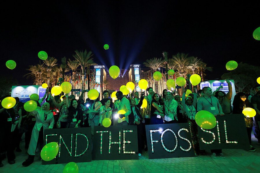 COP28: Cop 28 closes with food system action omitted: Food experts