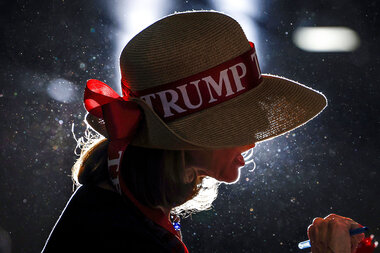 As GOP groups go MAGA, some see trouble for party apparatus - Vimarsana News