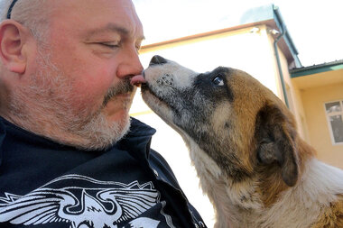 Canadian Duane Taylor is on a quest to feed Ukraine's stray dogs - Vimarsana News