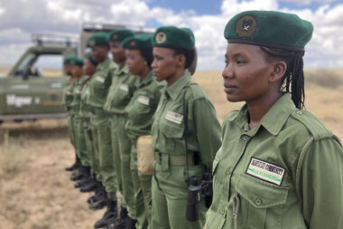Maasai wildlife rangers fight taboos to protect animals and herders - Vimarsana News