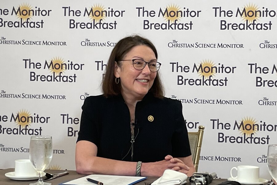 DCCC Chair Suzan DelBene speaks to reporters in Washington DC at a ...