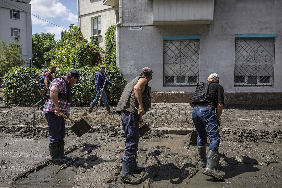 Where the wildflowers grow ... in a Ukrainian war zone