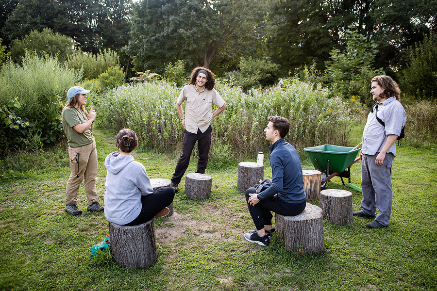 Food forests are being created in Boston. Usable plots of land create green spaces – and community.