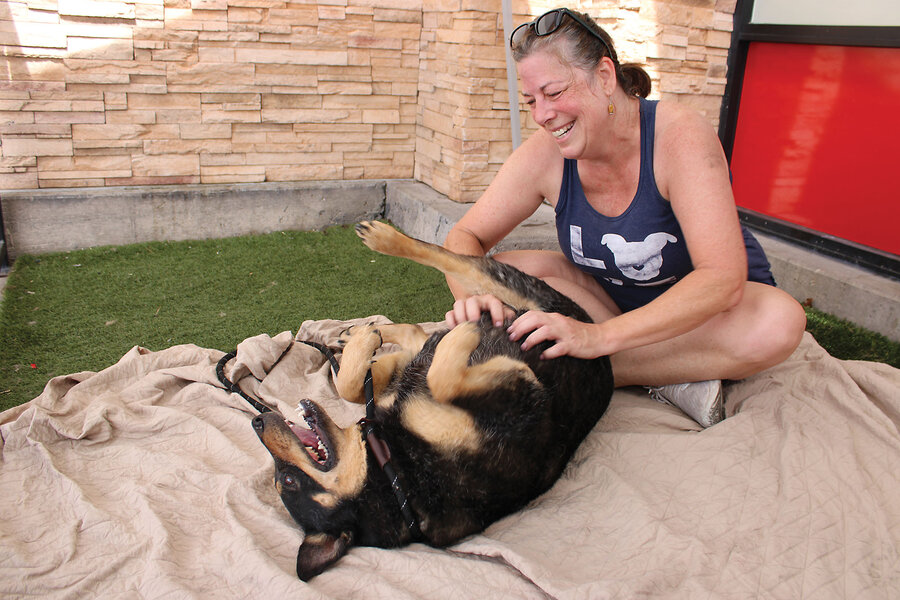 ‘Paw partners’ across the US step in to aid overwhelmed animal shelters
