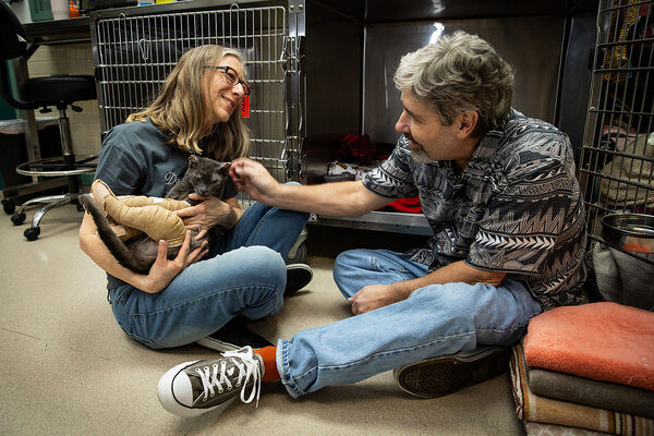 Mark Pastor and Lisa De Lange sit on the floor as they pet their cat Skinny Minnie, who is in the ICU at the Pasadena Humane Society in California after being severely burned on all four legs and her belly in the Eaton wildfire. They rescued their two indoor cats, but couldn’t get Minnie, who is an outdoor cat, in time. She is being treated free of charge.