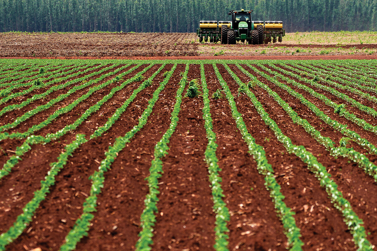 Helpful microbes: For cleaning up oil spills and helping crops grow Helpful microbes: For cleaning up oil spills and helping crops grow