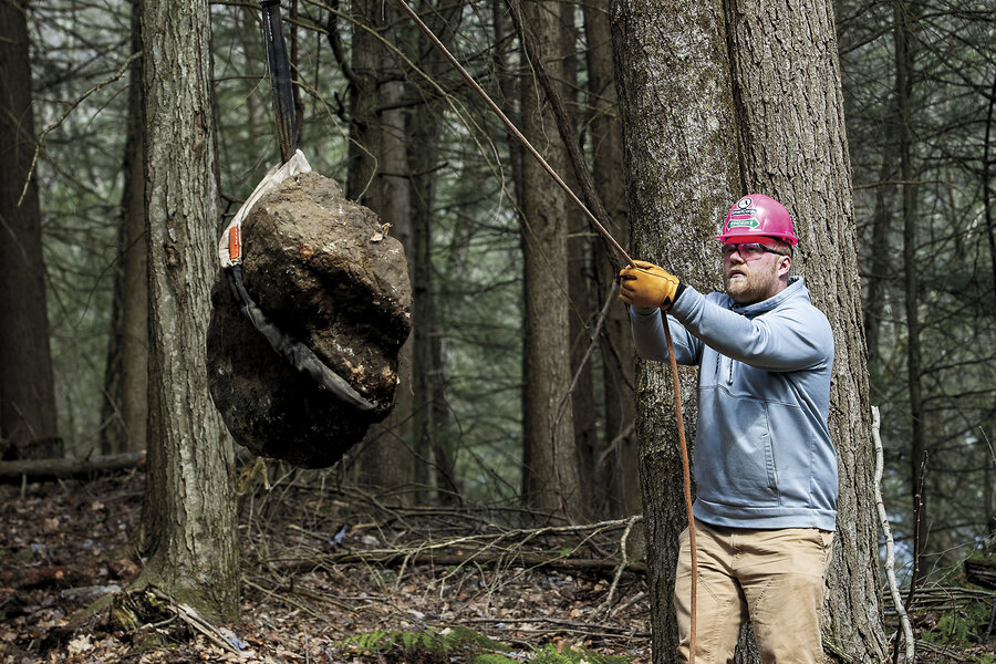 &lsquo;Green time&rsquo; over screen time: The Greenagers group gets youths to love the outdoors