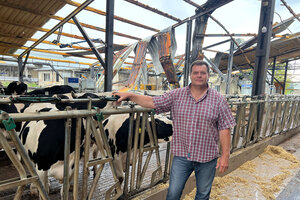 Ukrainians aren’t entirely sure why Russia has been targeting Kharkiv’s dairies. But over the last three years the region, Ukraine’s third-largest producer of milk in 2021, has lost half its herd of 33,000 cows.